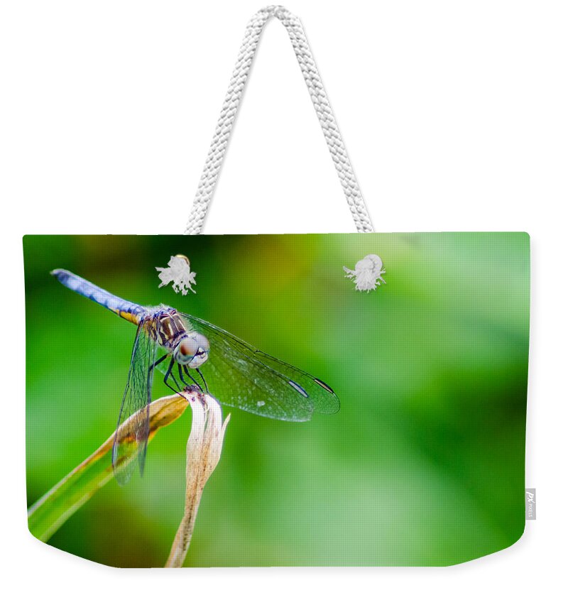 Cool Weekender Tote Bag featuring the photograph Trying to Carry the World by Wild Fotos