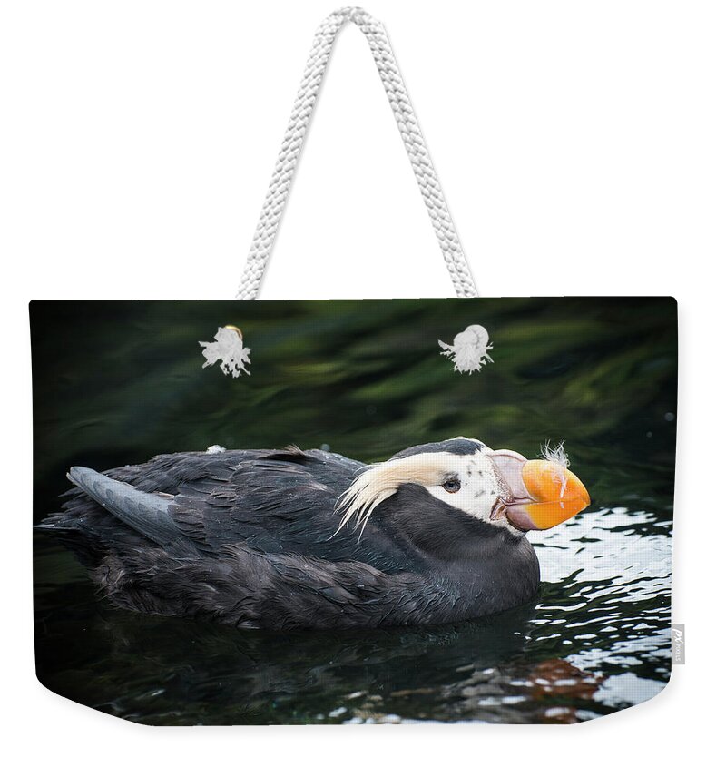 Alcids Weekender Tote Bag featuring the photograph Tufted Puffin by Robert Potts