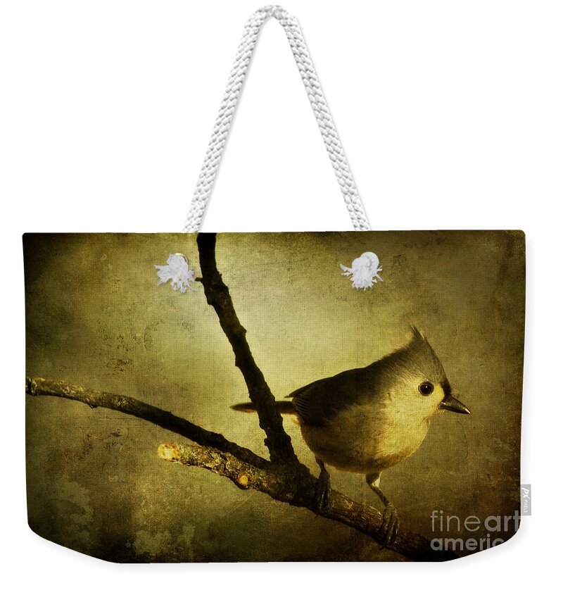 backyard Birds Weekender Tote Bag featuring the photograph Tufted Titmouse - Weathered by Lana Trussell
