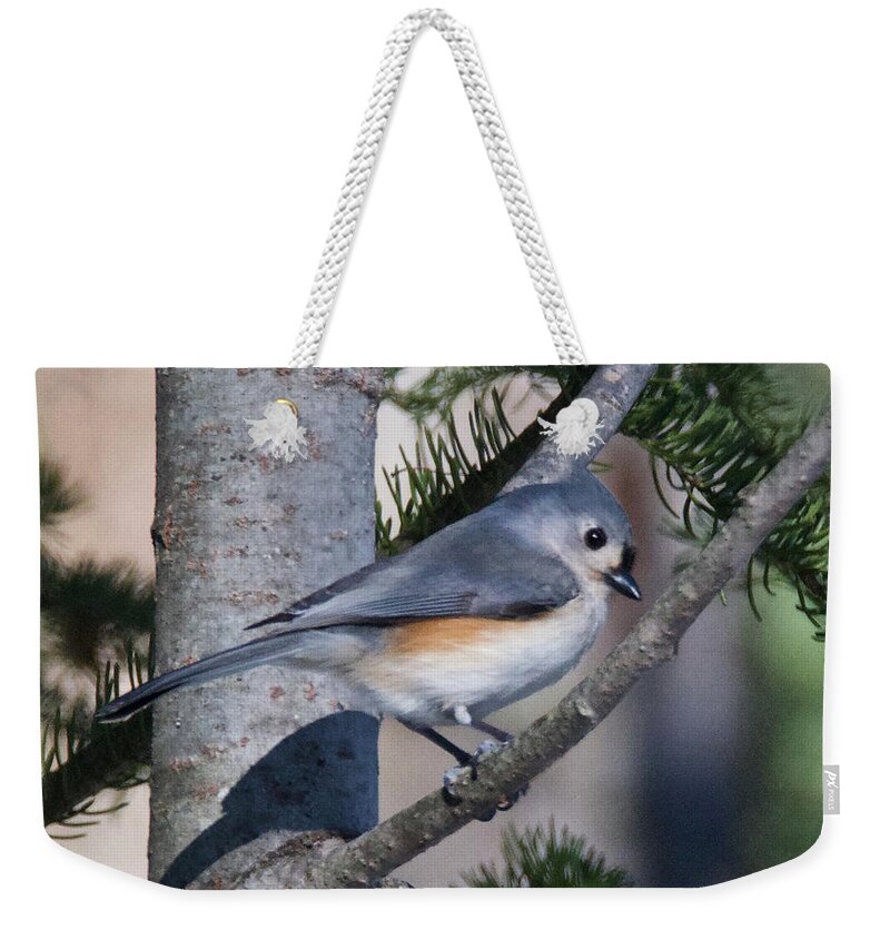 Avian Weekender Tote Bag featuring the photograph Tufted Titmouse 7955 by Michael Peychich