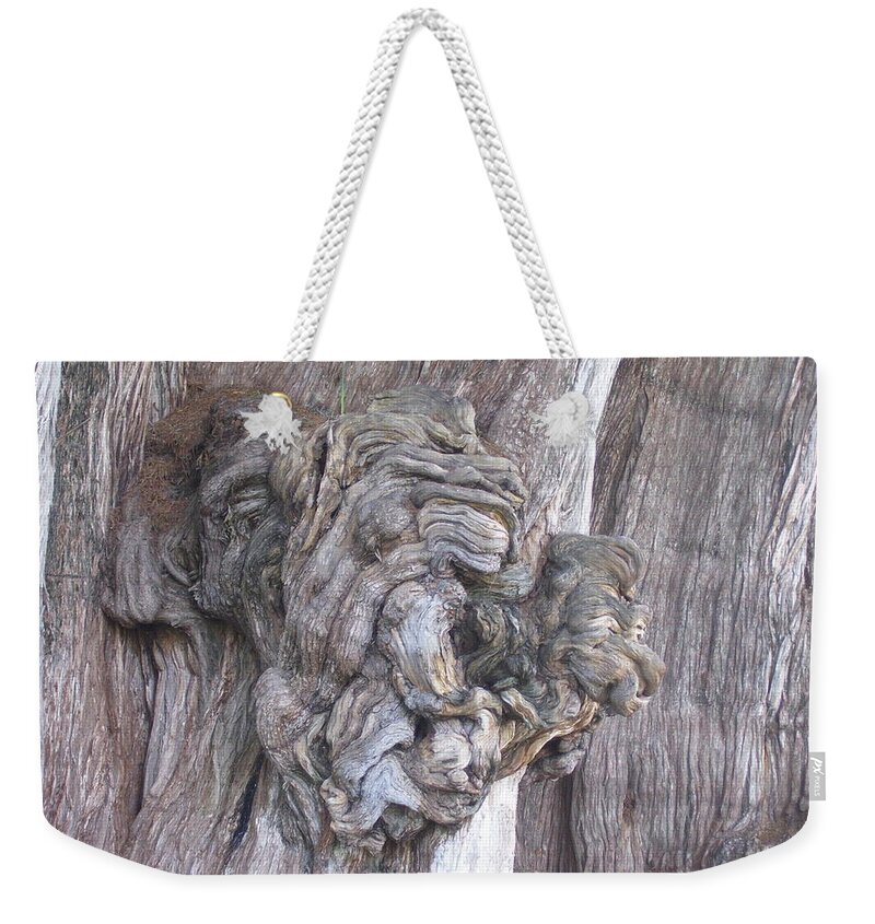 Tule Weekender Tote Bag featuring the photograph Tule Tree Spirit by Michael Peychich