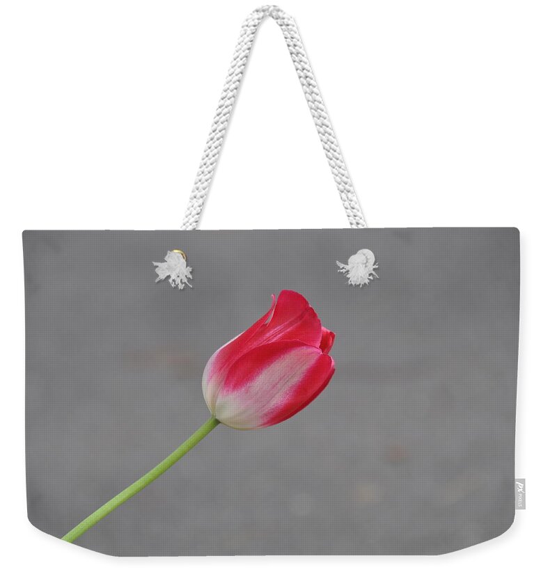 Flower Weekender Tote Bag featuring the photograph Tulip 3 by Rich Bodane