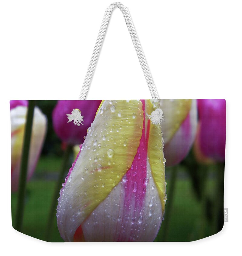 Tulip Close-up Weekender Tote Bag featuring the photograph Tulip close-up 2 by Manuela Constantin