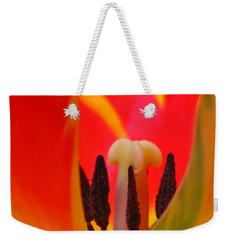 Tulip Weekender Tote Bag featuring the photograph Tulip Intimate by Juergen Roth