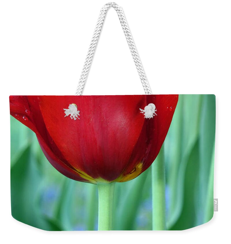 Red Tulip Weekender Tote Bag featuring the photograph Tulip by Michelle Joseph-Long