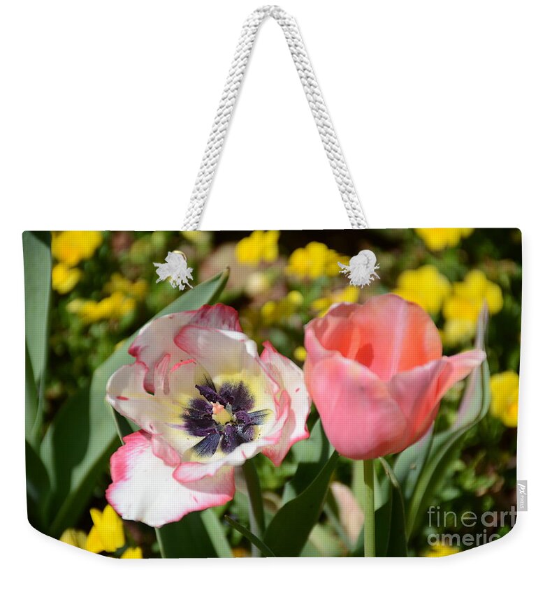  Weekender Tote Bag featuring the photograph Tulip Rare Beauty by Constance Woods