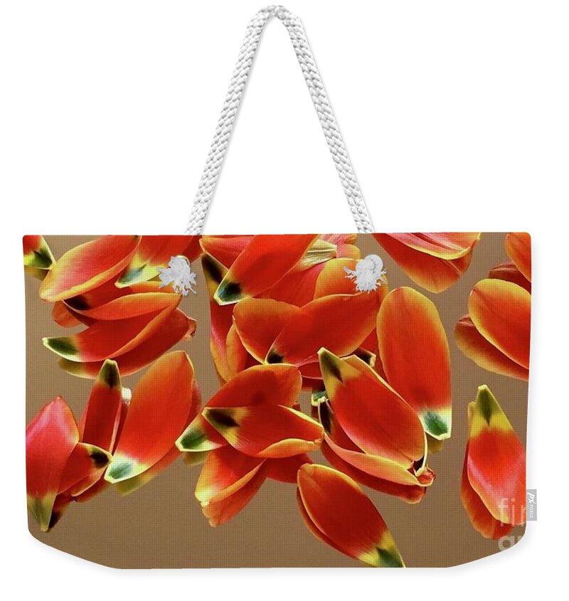 Color Pattern Energy Tulip Weekender Tote Bag featuring the photograph Tulip Series 1-1 by J Doyne Miller