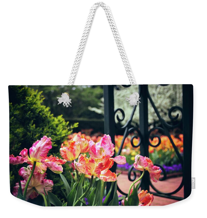 Tulips Weekender Tote Bag featuring the photograph Tulips at the Garden Gate by Jessica Jenney