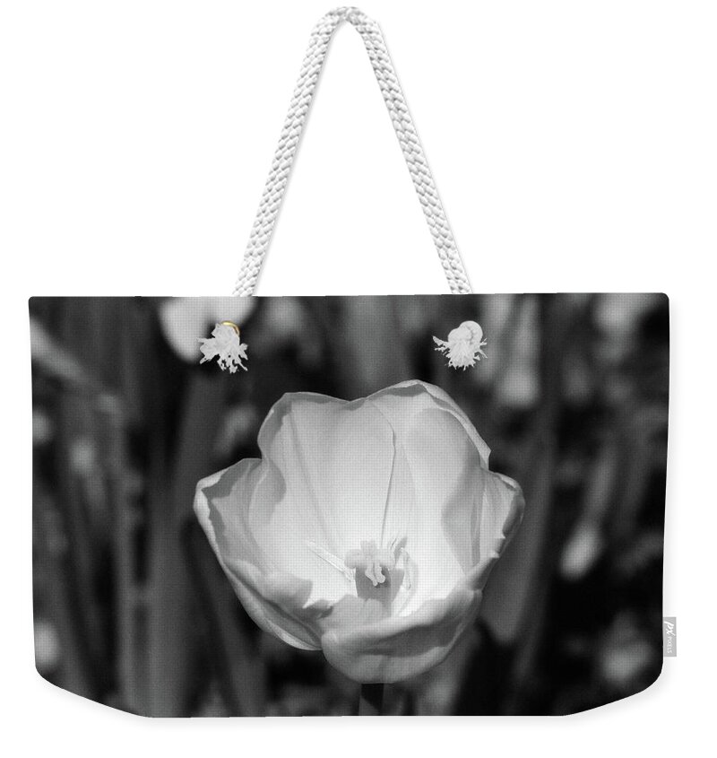 Tulip Weekender Tote Bag featuring the photograph Tulips - Beauty In Bloom - BW Infrared SFX 05 by Pamela Critchlow