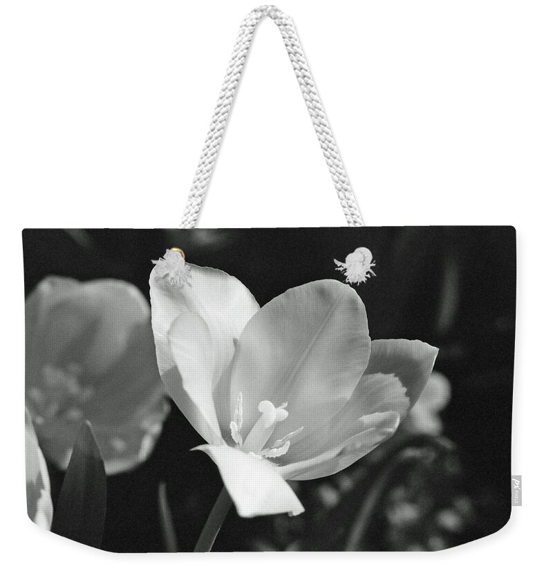 Tulip Weekender Tote Bag featuring the photograph Tulips - Beauty In Bloom - BW Infrared SFX 09 by Pamela Critchlow
