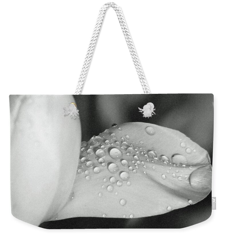 Tulip Weekender Tote Bag featuring the photograph Tulips - Beauty In Bloom - BW Infrared SFX 17 by Pamela Critchlow