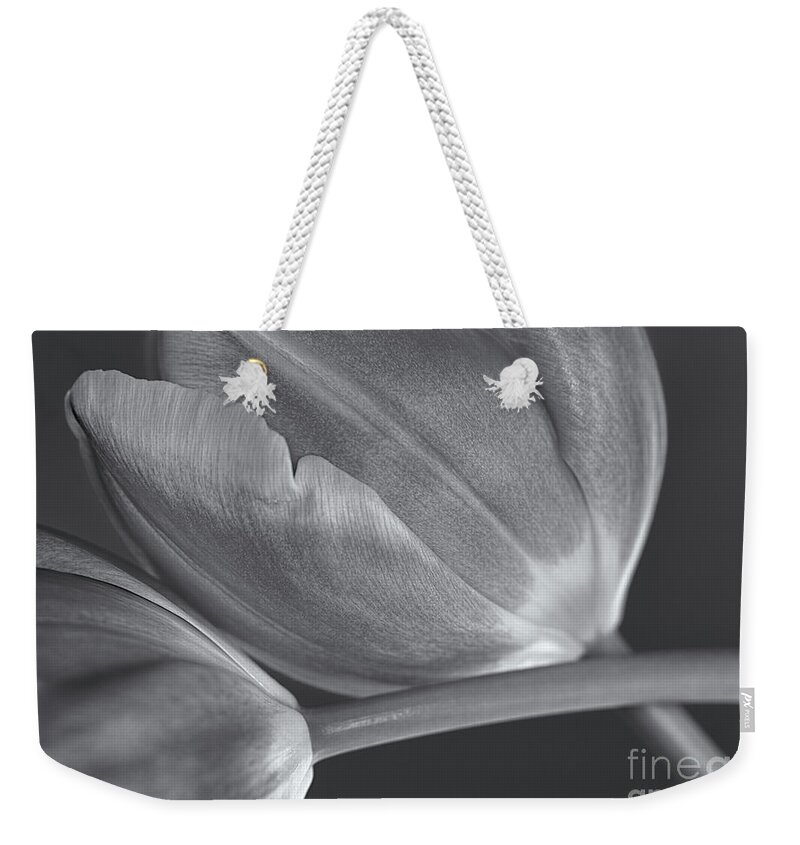 Tulips Crossed Weekender Tote Bag featuring the photograph Tulips Crossed by Rachel Cohen