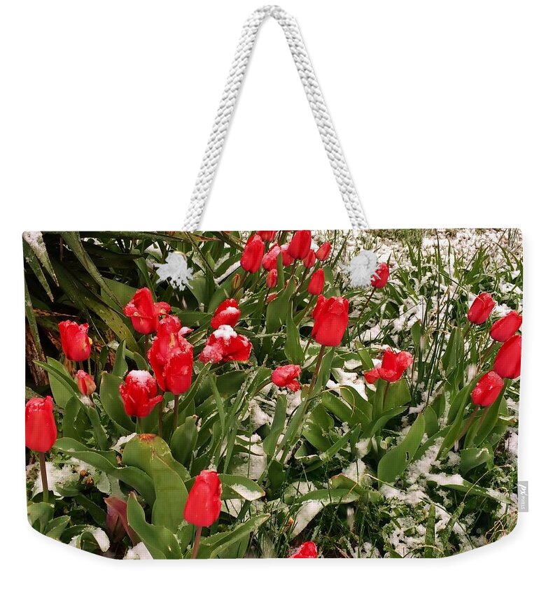 Flowers Weekender Tote Bag featuring the photograph Tulips in the Snow by Ed Sweeney