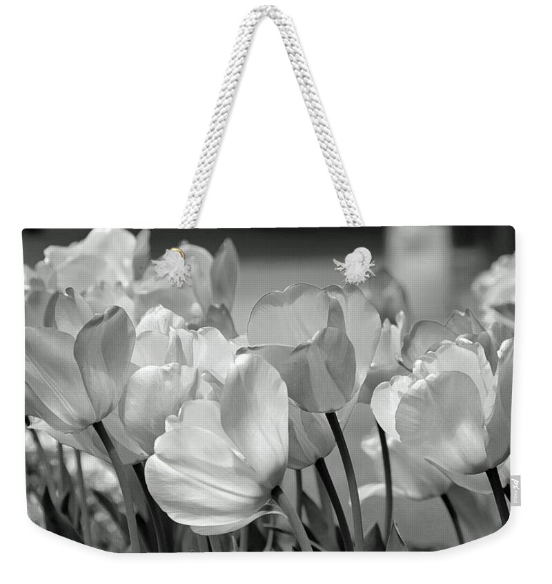 Tulips Weekender Tote Bag featuring the photograph Tulips by JoAnn Lense