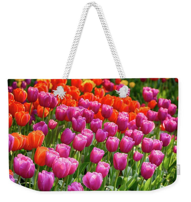 Tulips Weekender Tote Bag featuring the photograph Tulips Mean Spring by Mary Jo Allen