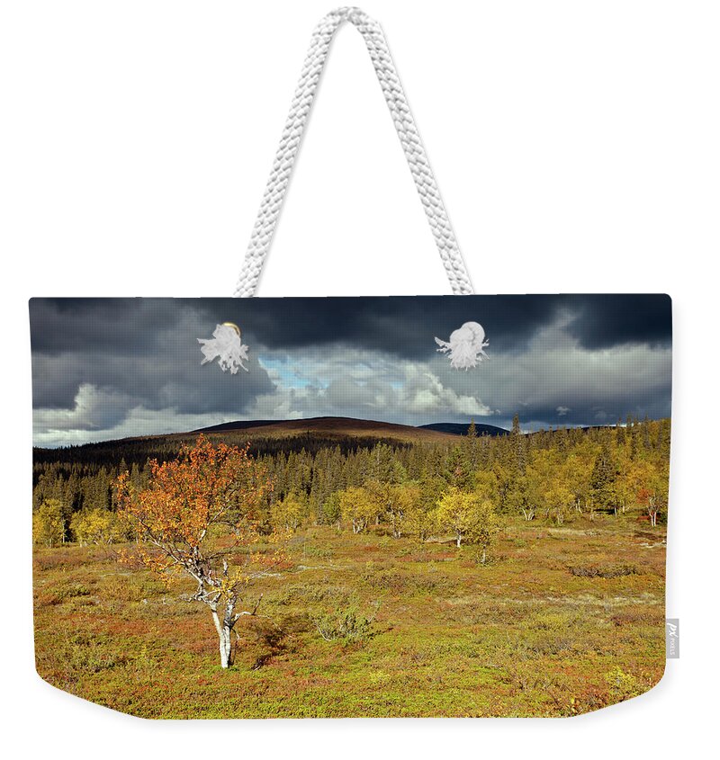 Rihmakuru Weekender Tote Bag featuring the photograph Tundra with Birch by Aivar Mikko