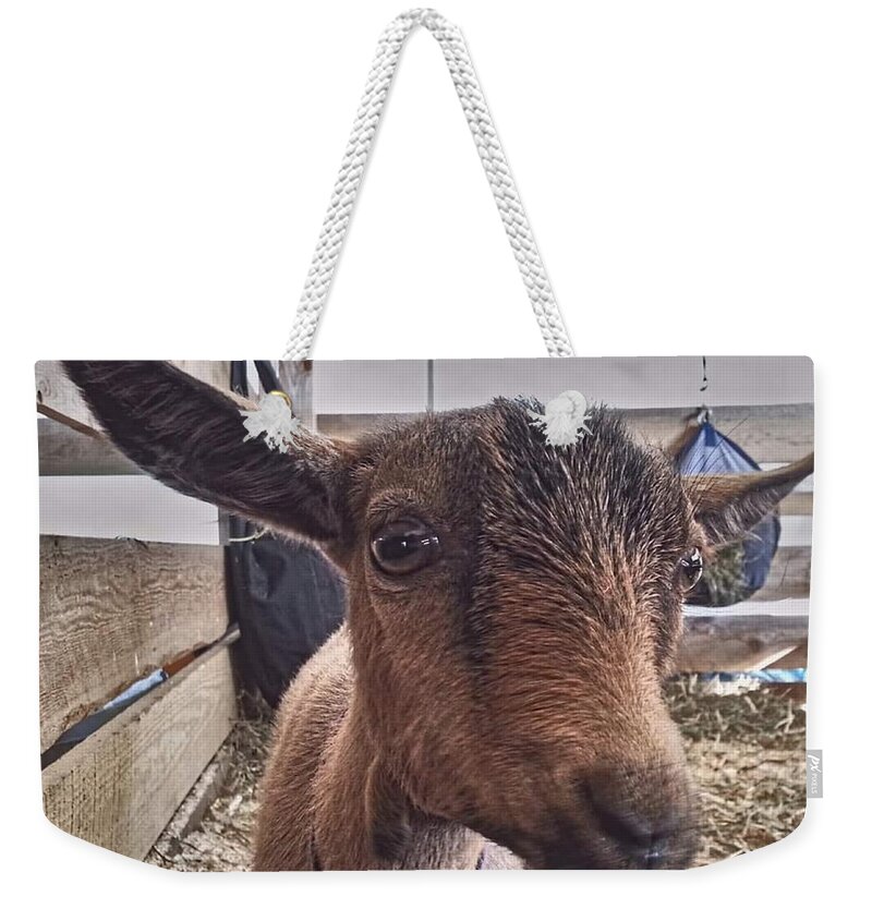 Goat Weekender Tote Bag featuring the photograph Tuned In by Dani McEvoy