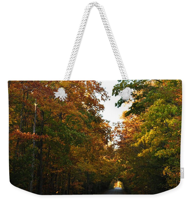 Fall Weekender Tote Bag featuring the photograph Tunnel by Tim Nyberg