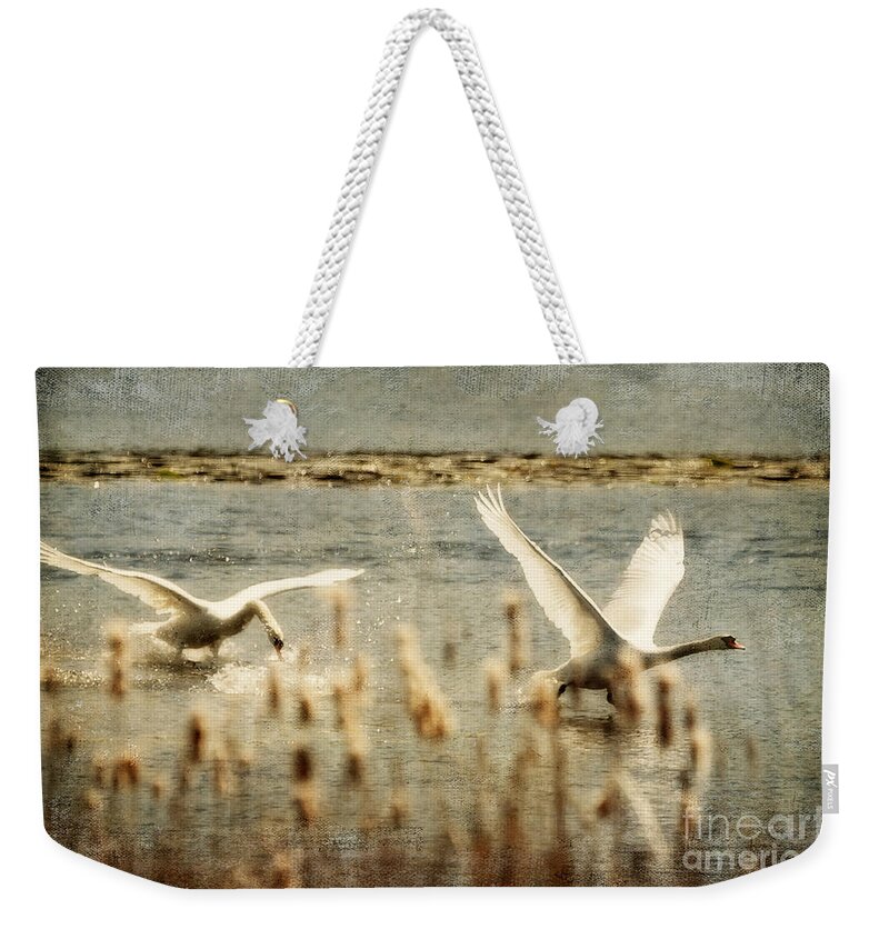 Swans Weekender Tote Bag featuring the photograph Turf Wars by Lois Bryan