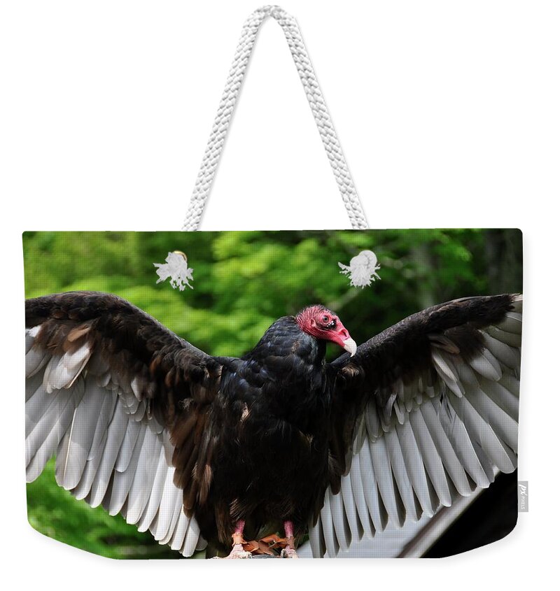 Turkey Vulture Weekender Tote Bag featuring the photograph Turkey Vulture by Cornelia DeDona