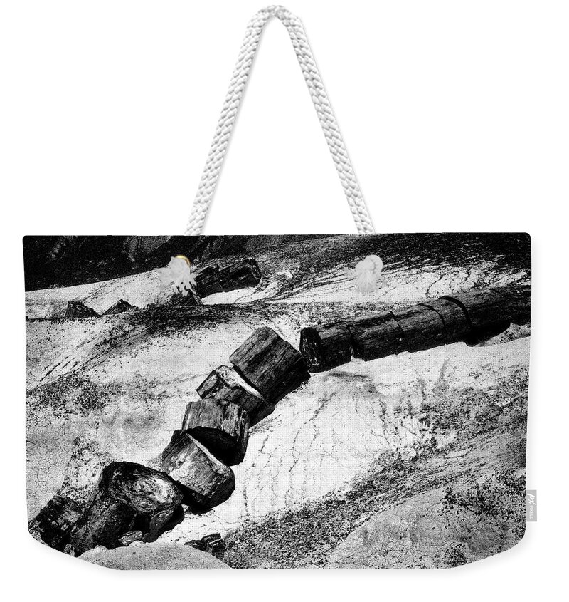 Petrified Wood Weekender Tote Bag featuring the photograph Turned to Stone by Paul W Faust - Impressions of Light
