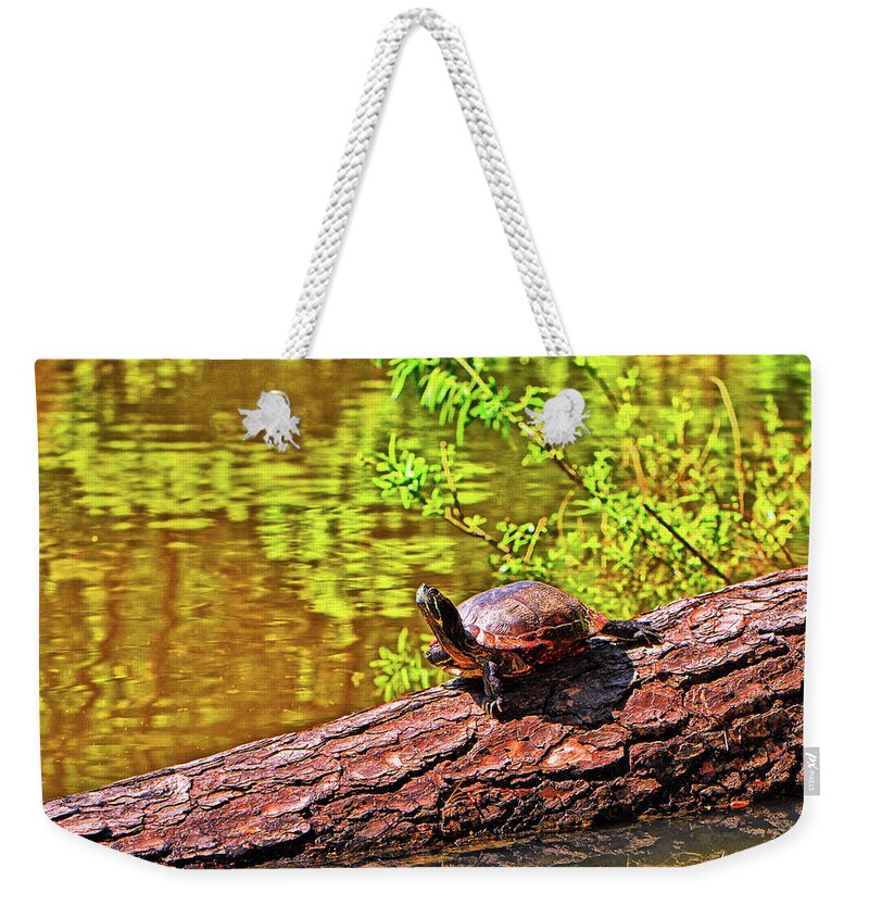 Amphibian Weekender Tote Bag featuring the photograph Turtle 008 by George Bostian
