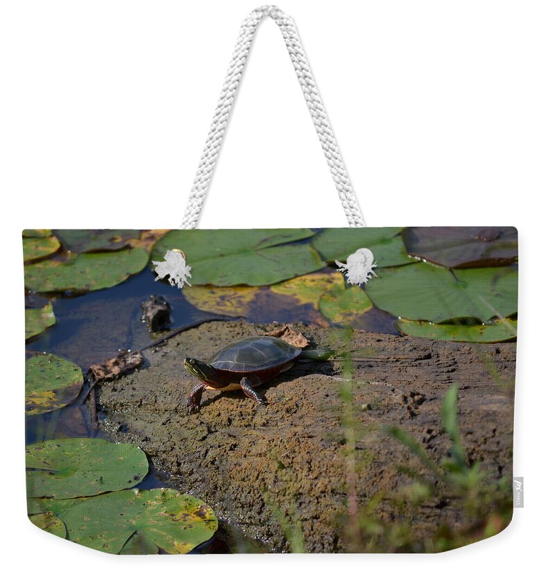Colors Weekender Tote Bag featuring the photograph Turtle and Lily's by Michael Mrozik