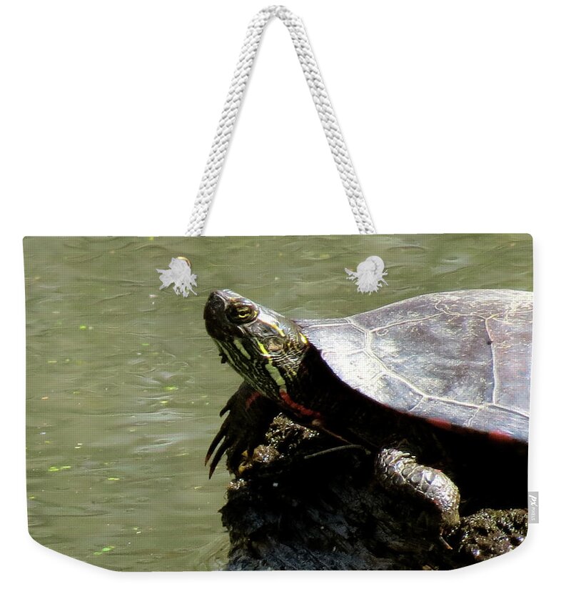 Nature Weekender Tote Bag featuring the photograph Turtle Bask by Azthet Photography