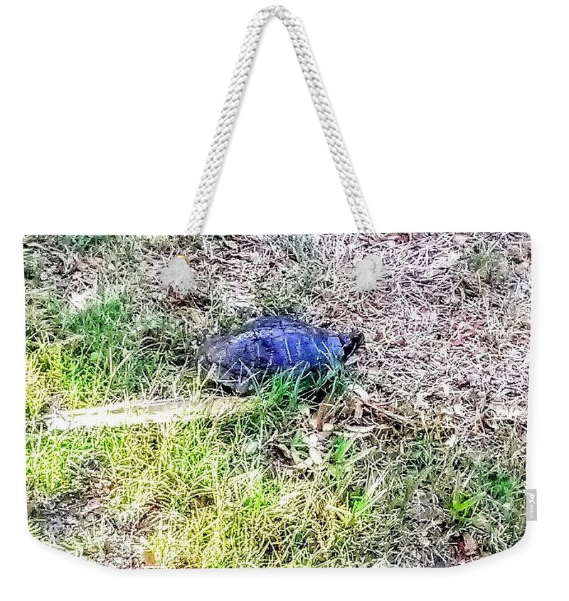 Turtle Weekender Tote Bag featuring the photograph Turtle Crossing by Suzanne Berthier