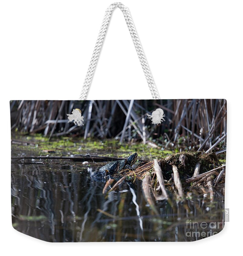 Turtle Weekender Tote Bag featuring the photograph Turtle Dock by Dale Powell