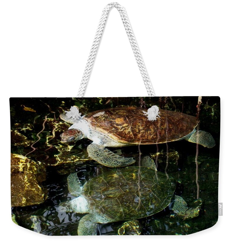 Turtle Weekender Tote Bag featuring the photograph Turtles by Angela Murray