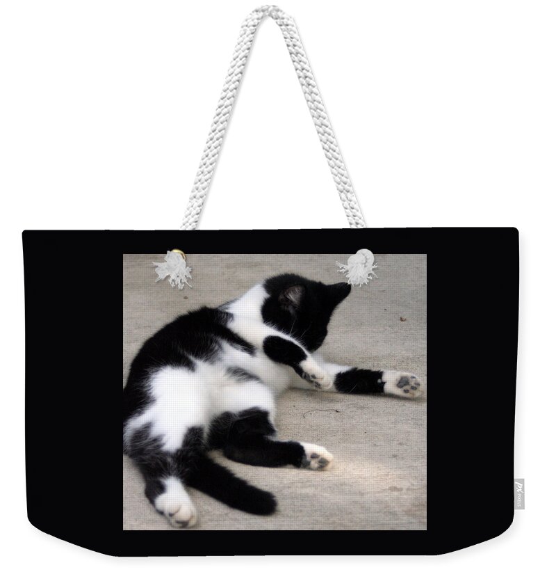 Cat Weekender Tote Bag featuring the photograph Tuxedo Cat Grooming by Valerie Collins