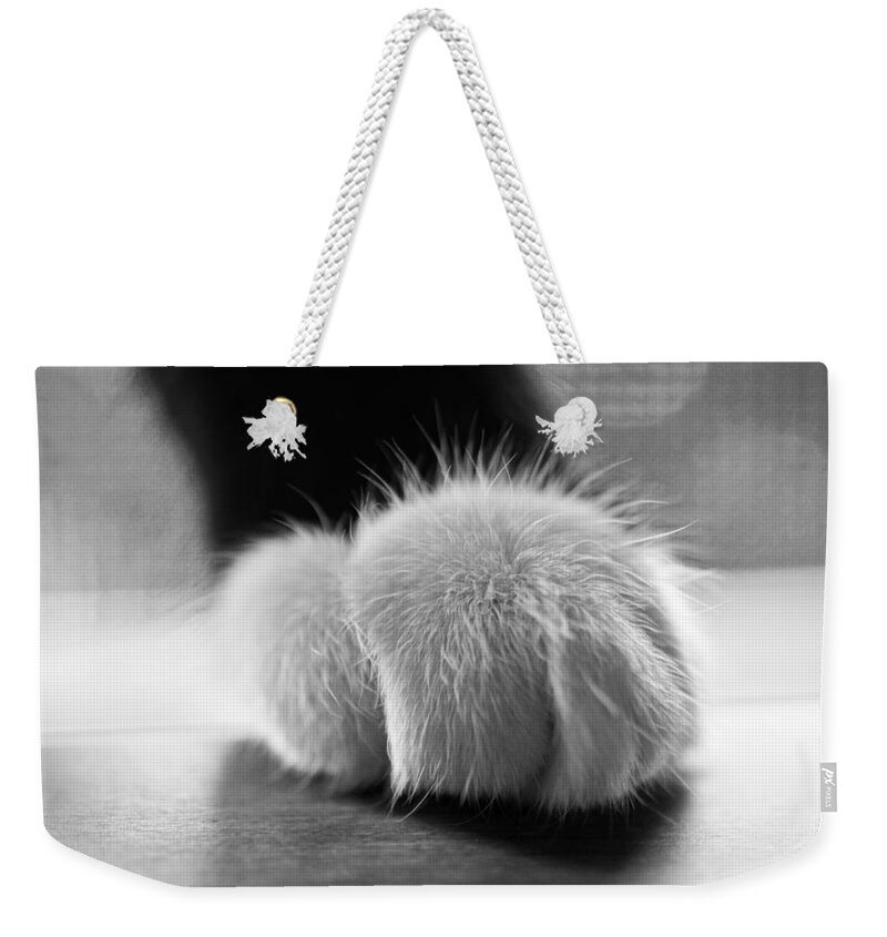 Tuxedo Weekender Tote Bag featuring the photograph Tuxedo cat paw black and white by Toby McGuire