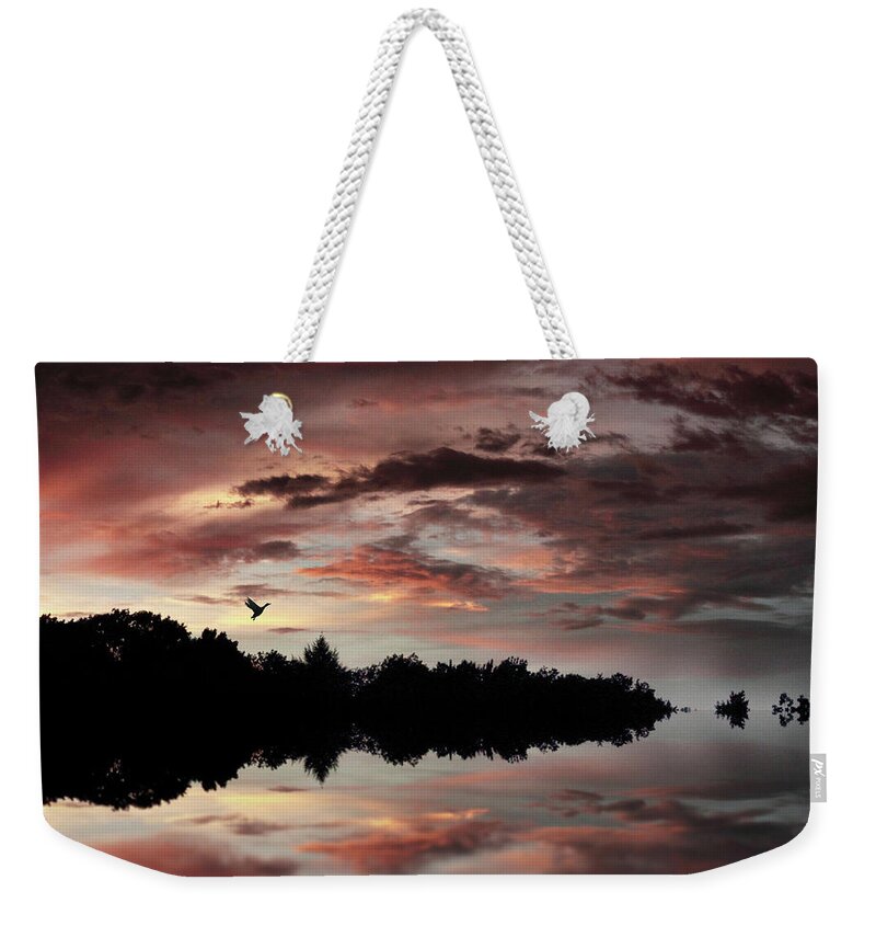 Sunset Weekender Tote Bag featuring the photograph Twilight Flight by Jessica Jenney