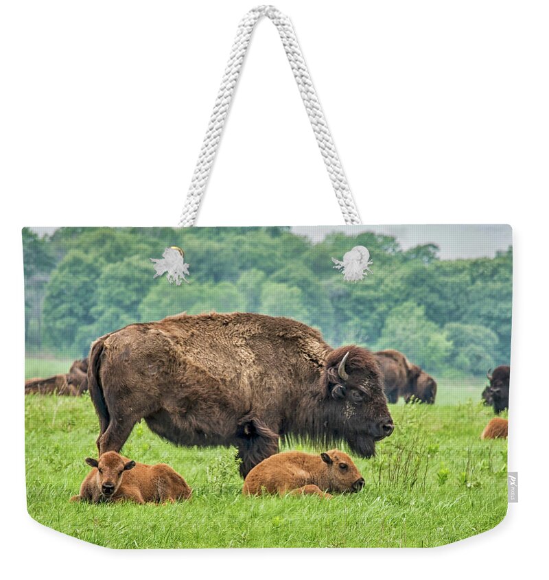 Tallgrass Weekender Tote Bag featuring the photograph Twin Baby Buffalo by Bert Peake