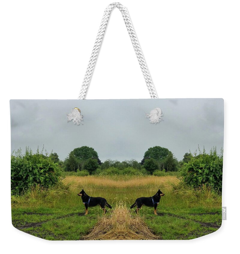 Cheshire Weekender Tote Bag featuring the photograph Twin Guards by Kathy K McClellan