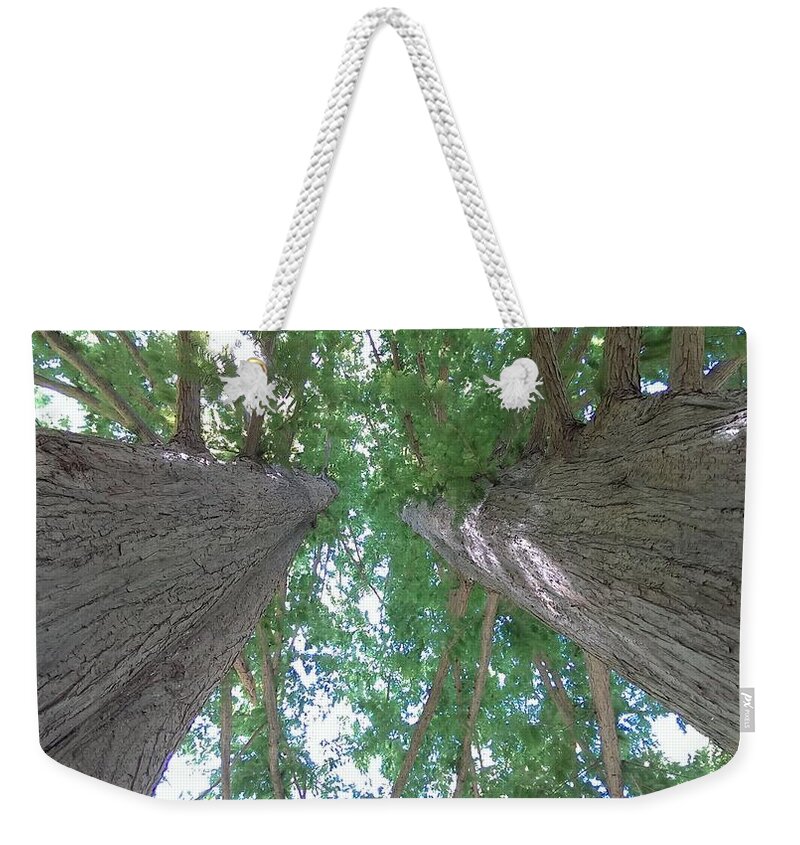 Eastern Weekender Tote Bag featuring the photograph Twin Trees by Liza Eckardt
