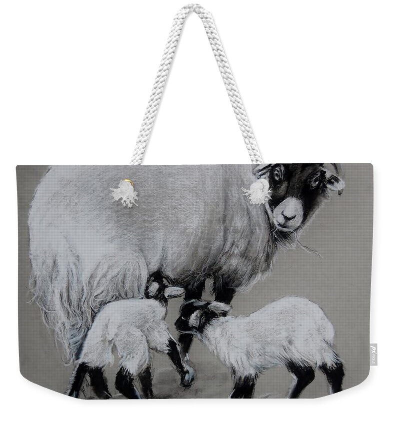 Sheep Weekender Tote Bag featuring the drawing Twins by Jean Cormier