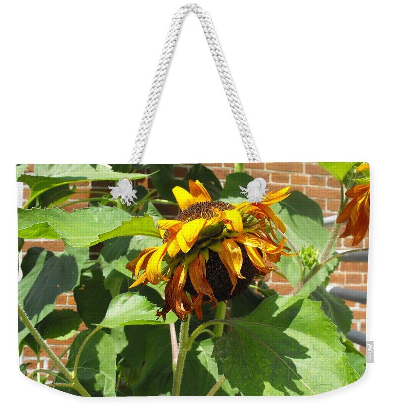Flowers Weekender Tote Bag featuring the photograph Twins by Kristie Bonnewell