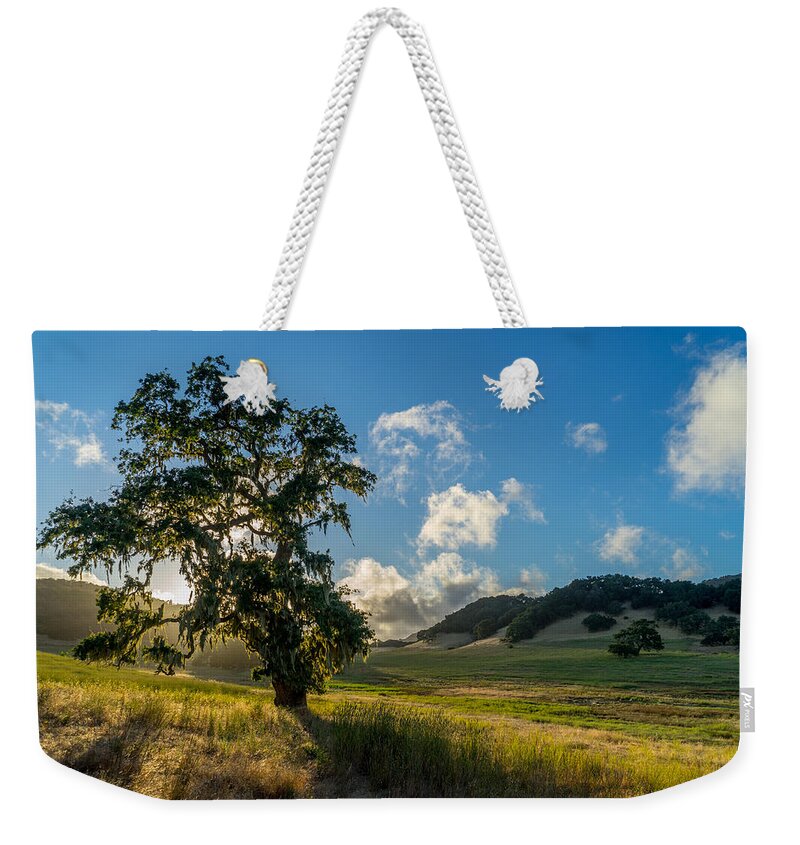 San Carlos Ranch Weekender Tote Bag featuring the photograph Twisted by Derek Dean