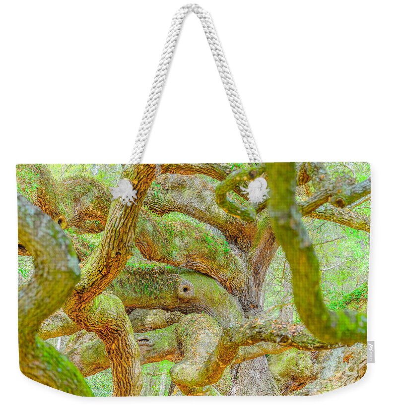 South Carolina Weekender Tote Bag featuring the photograph Twists in Time by Elvis Vaughn