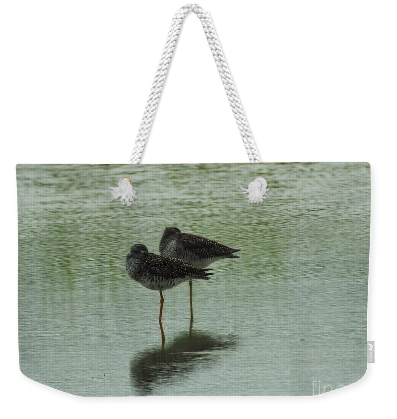 Birds Weekender Tote Bag featuring the photograph Two Birds In The Marsh by Jan Gelders
