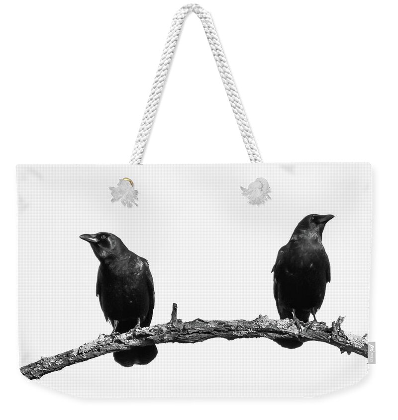 Two Black Crows One Branch White Square Weekender Tote Bag featuring the photograph Two Black Crows One Branch White Square by Terry DeLuco