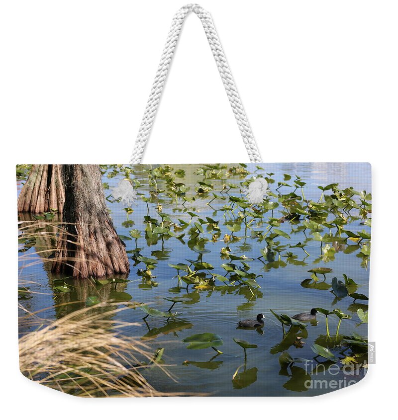 Coot Weekender Tote Bag featuring the photograph Two Coots in Lake Morton by Carol Groenen