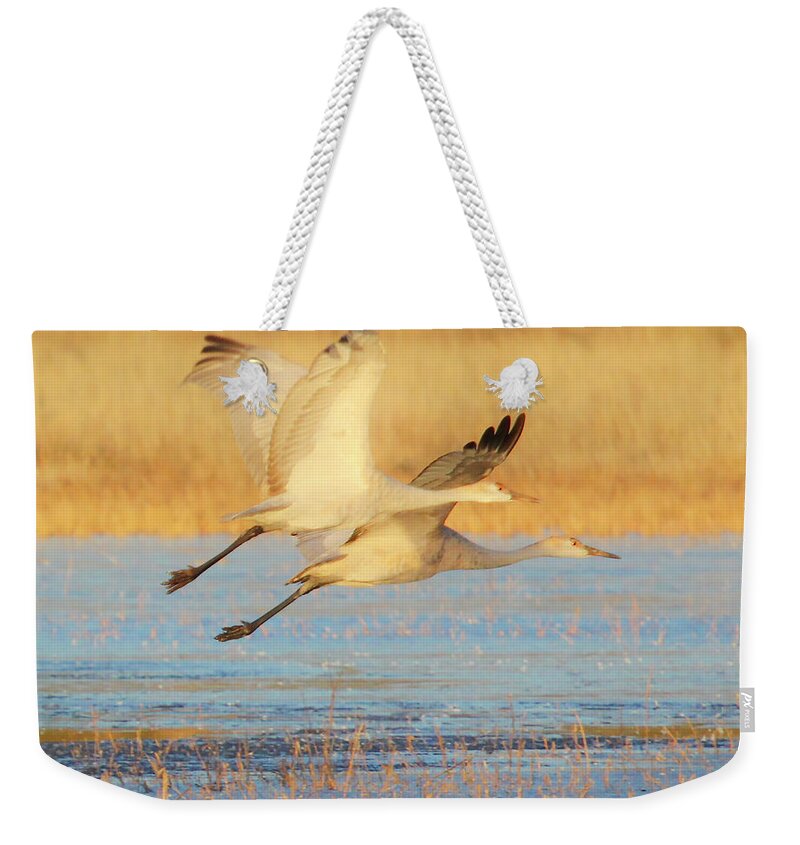 Bosque De Apache Weekender Tote Bag featuring the photograph Two Cranes Cruising by Marla Craven