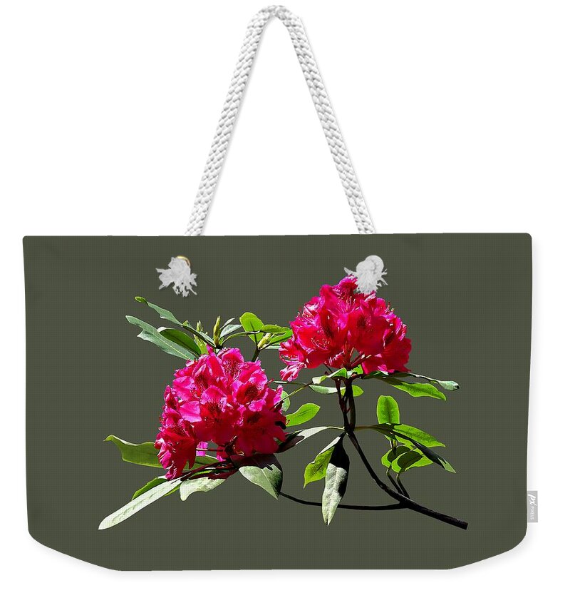 Rhododentron Weekender Tote Bag featuring the photograph Two Dark Red Rhododendrons by Susan Savad