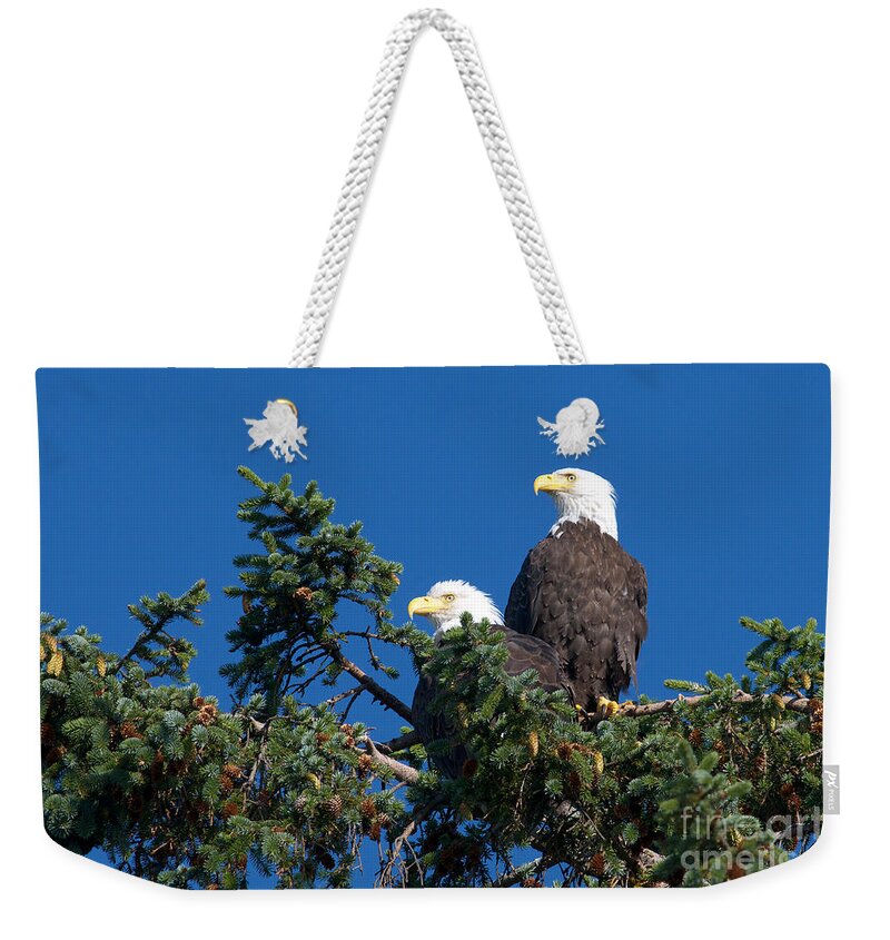 Bald Eagles Weekender Tote Bag featuring the photograph Two Eagles by Sharon Talson
