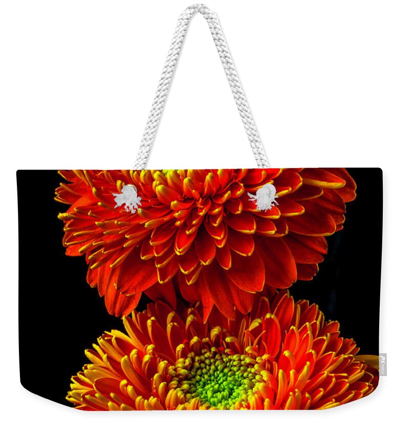 Fancy Weekender Tote Bag featuring the photograph Two Fancy Orange Green Gerbera Daisies by Garry Gay