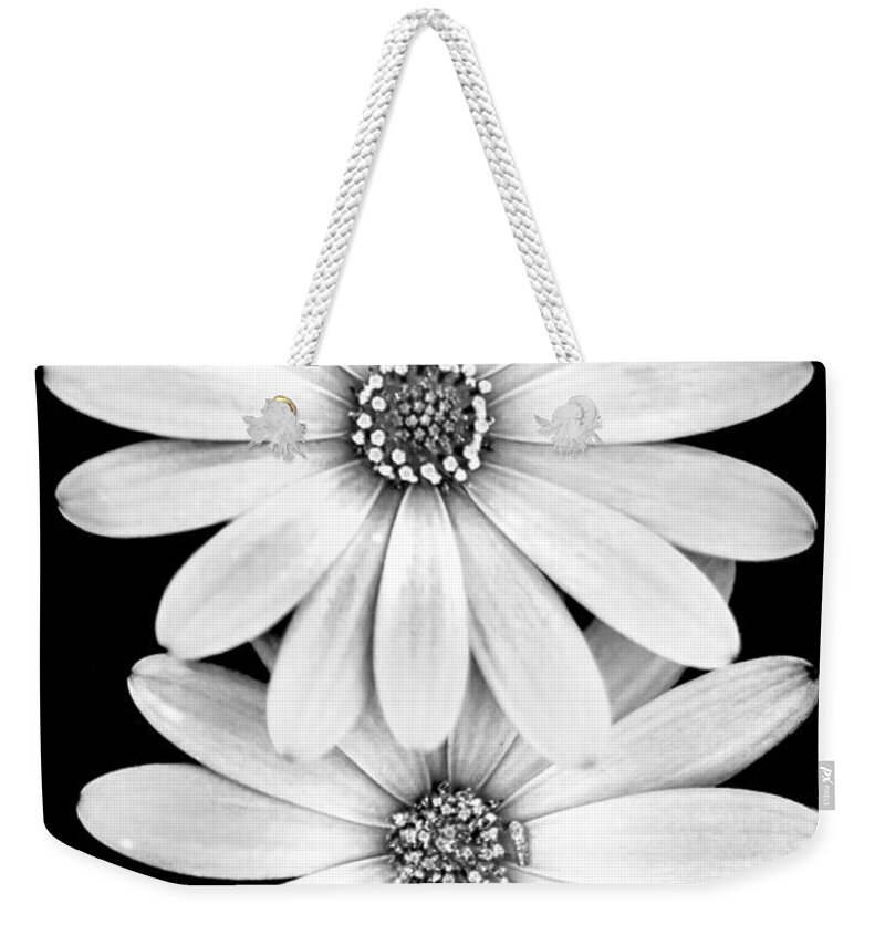 Black And White Spring Flowers Weekender Tote Bag featuring the photograph Two Flowers by Az Jackson