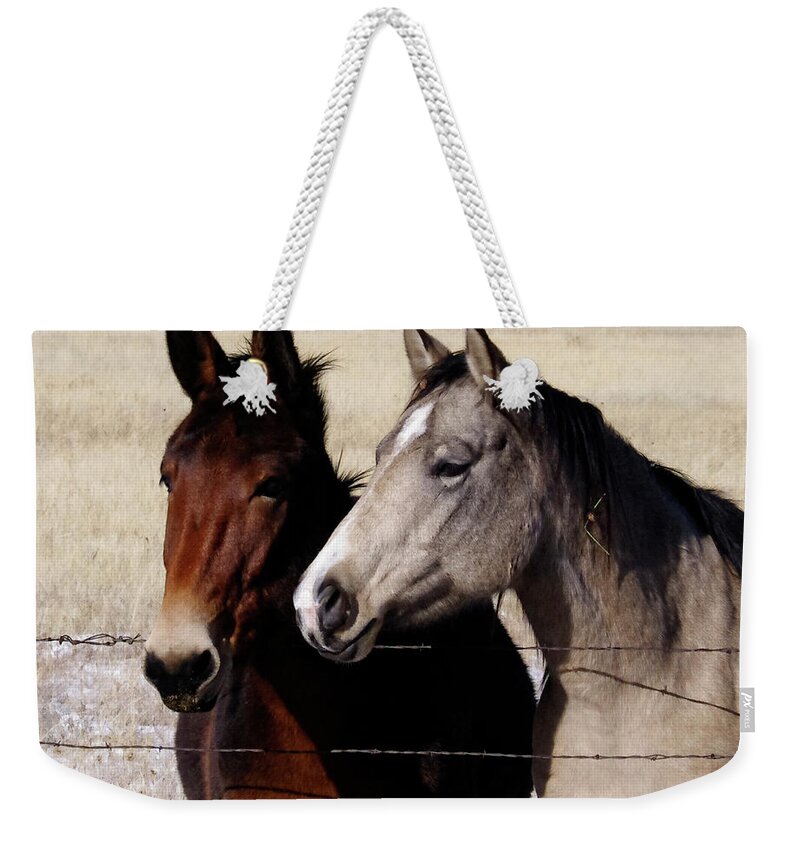 Photography Weekender Tote Bag featuring the photograph Two Friends by Rebecca Langen